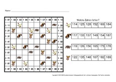 Zahlen-suchen-22.pdf